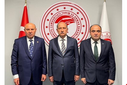 Başkan Akdenizli’den Ankara Çıkarması